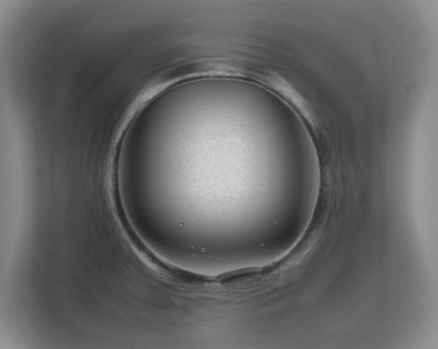 X0000112751379200908271533