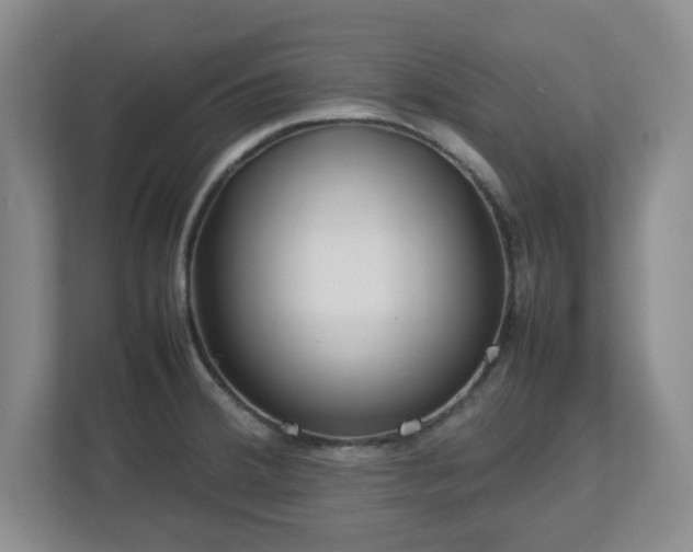 X0000112751380200908271533