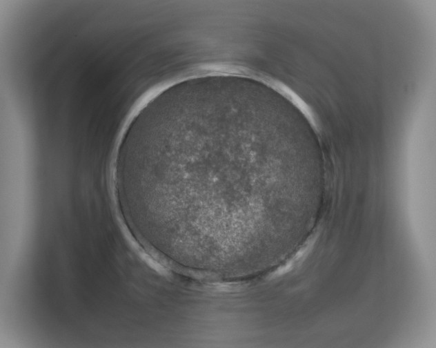 X0000112751381200908271533