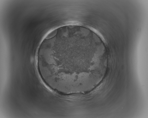 X0000112751383200908271533