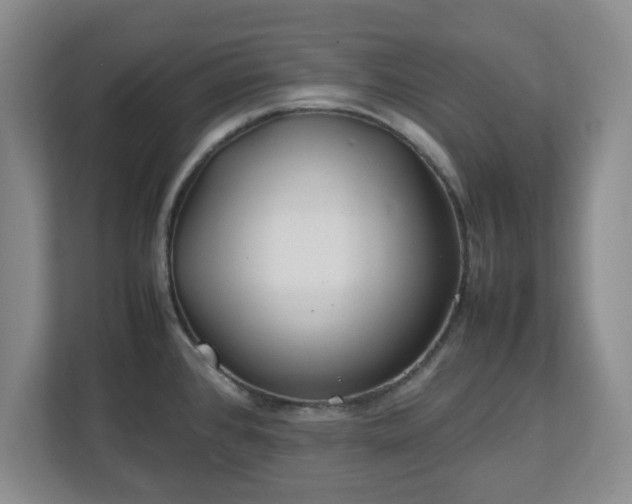 X0000112751384200908271533