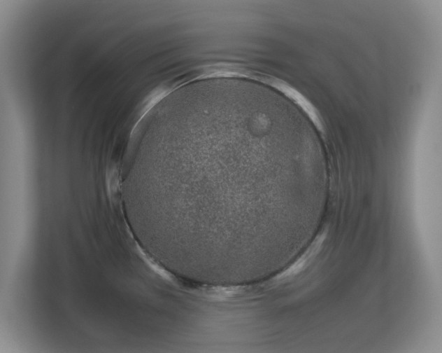 X0000112751385200908271533