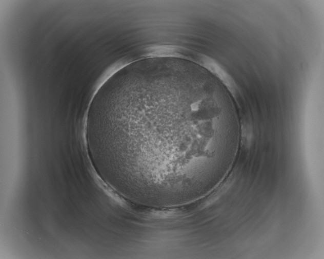 X0000112751386200908271533