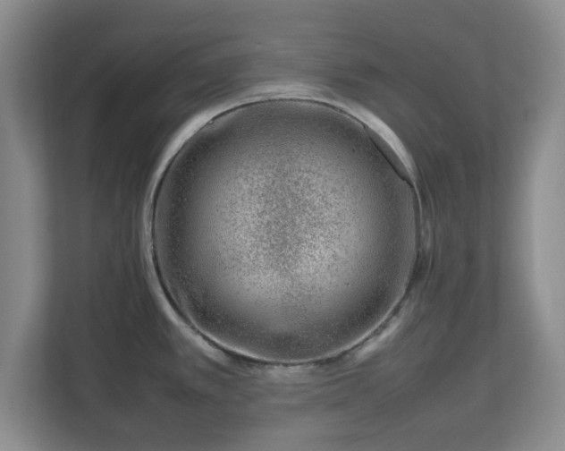 X0000112751389200908271533