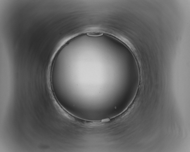 X0000112751392200908271533