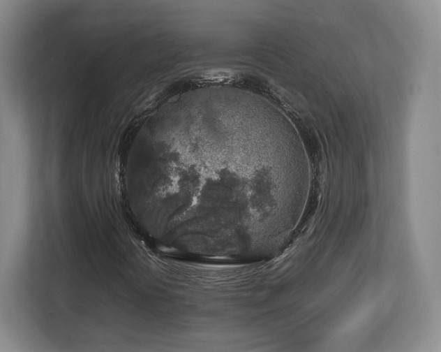 X0000112751394200908271532