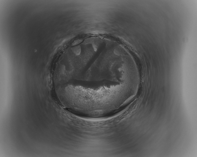 X0000112751398200908271532