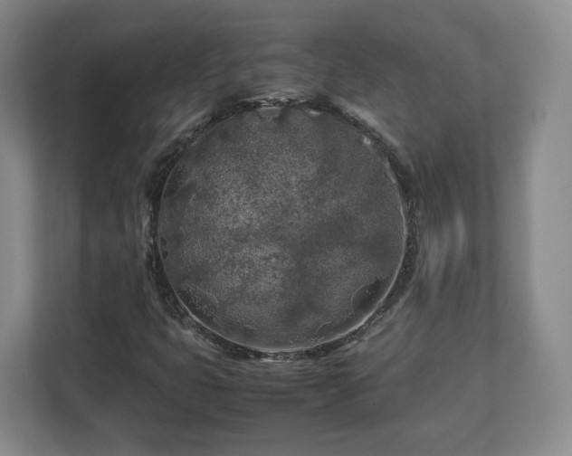 X0000112751399200908271532