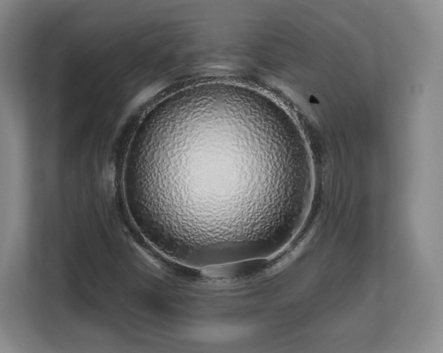 X0000112751402200908271532