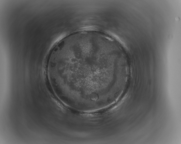 X0000112751405200908271532