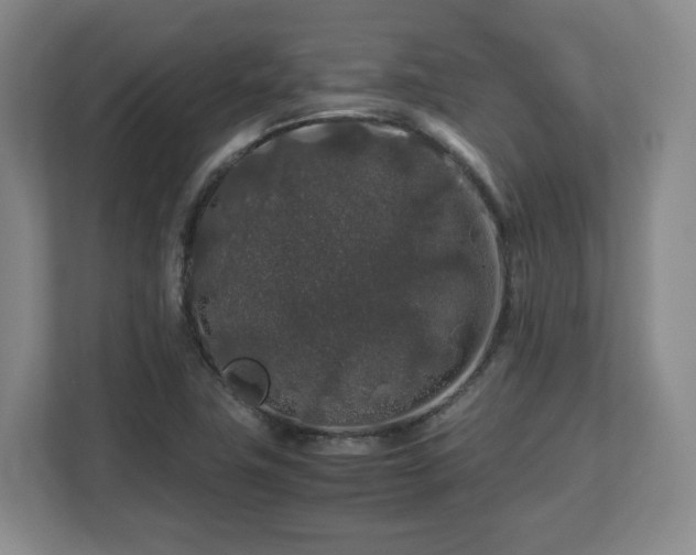 X0000112751411200908271532