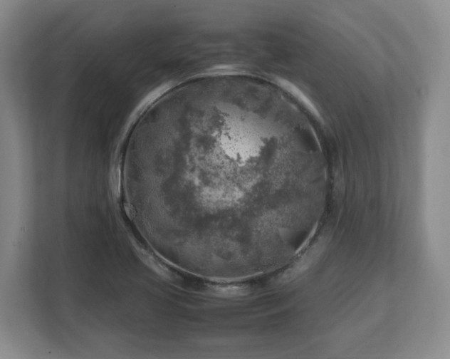 X0000112751413200908271532