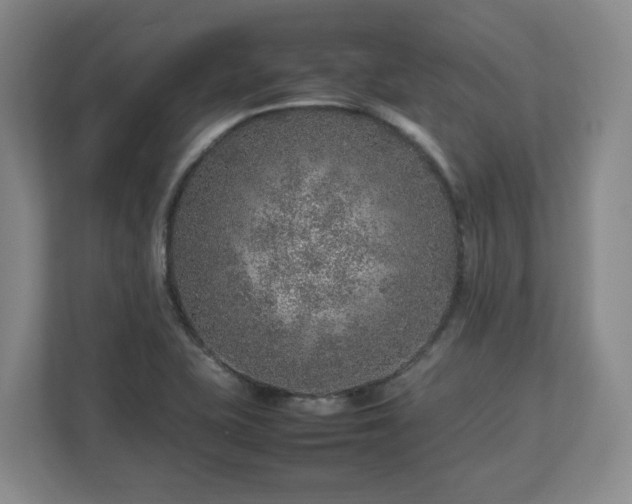 X0000112751415200908271532