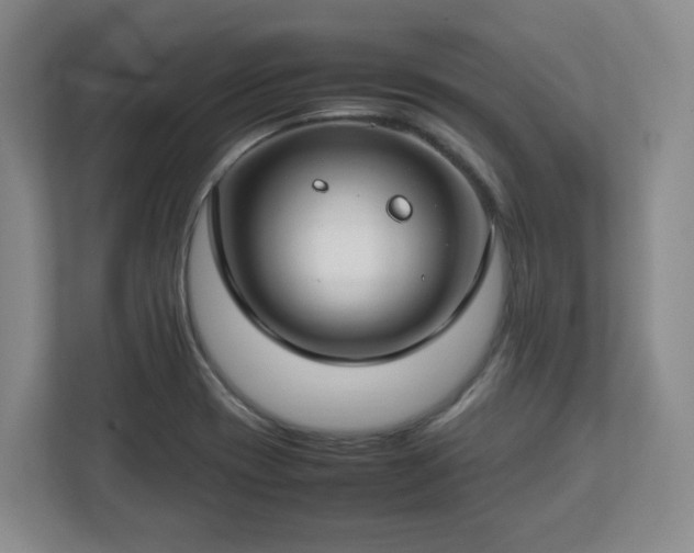 X0000112751417200908271532