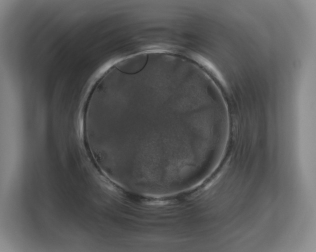 X0000112751419200908271532