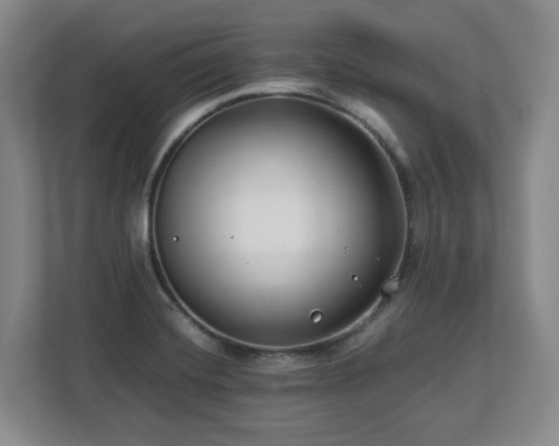 X0000112751420200908271532