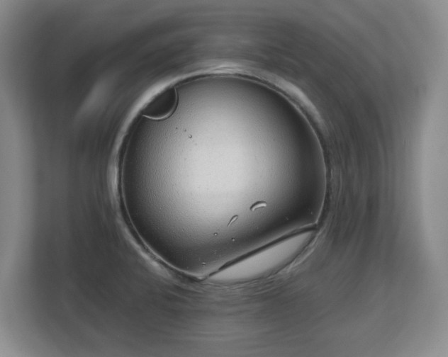 X0000112751424200908271532