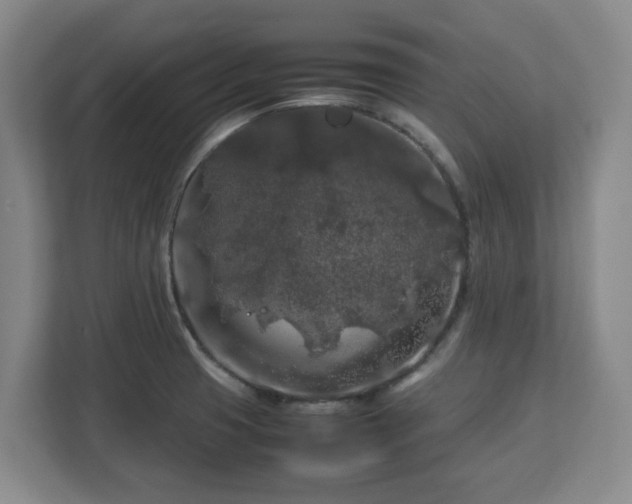 X0000112751425200908271533