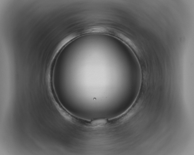 X0000112751426200908271533