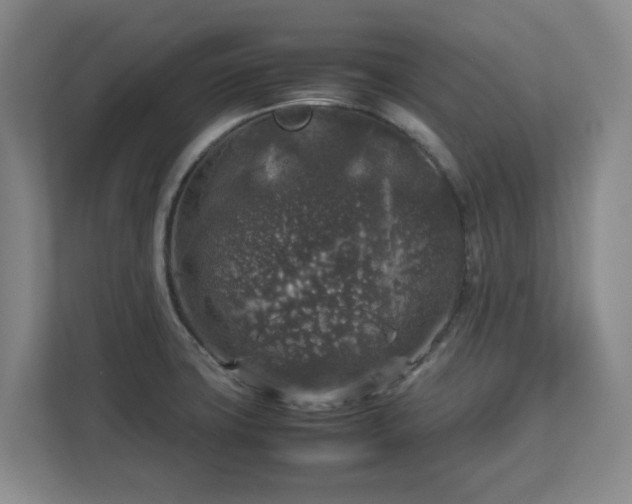 X0000112751427200908271533