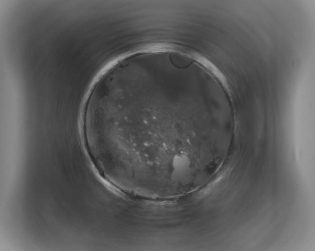 X0000112751429200908271533