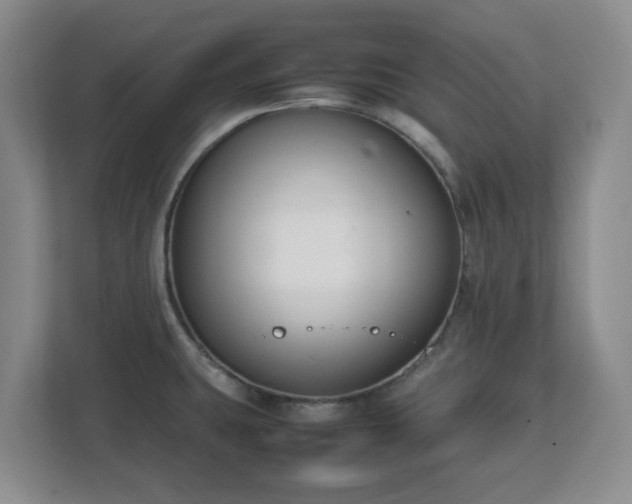 X0000112751431200908271533