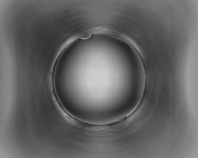 X0000112751434200908271533