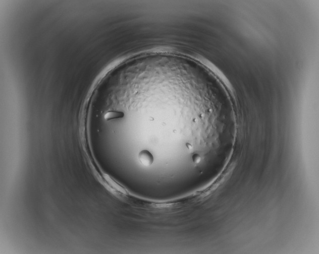 X0000112751437200908271533