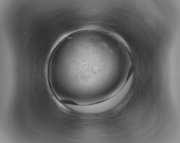 X0000112751438200908271533