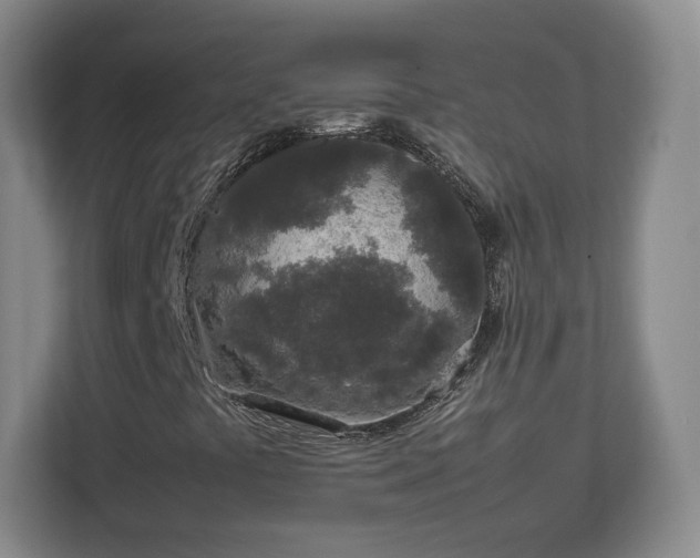 X0000112751441200908271532