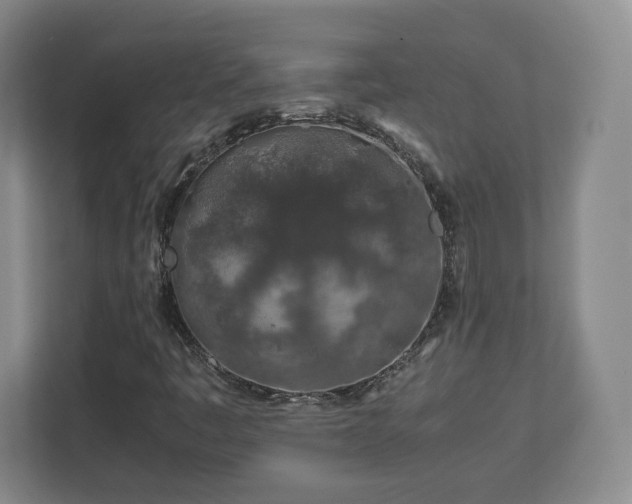 X0000112751445200908271532