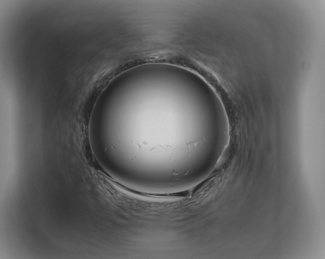 X0000112751447200908271532