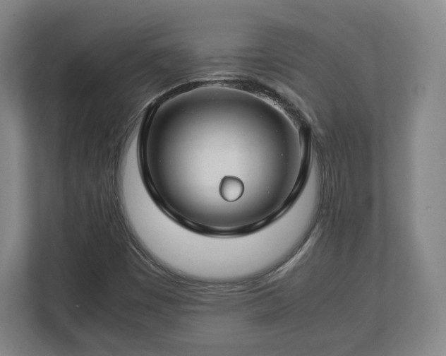 X0000112751449200908271532