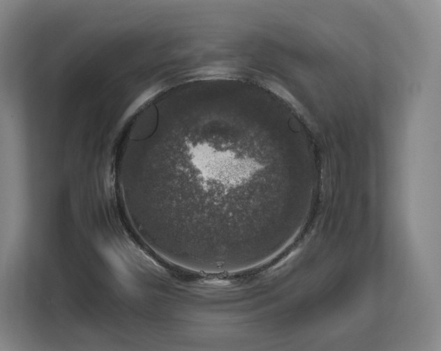 X0000112751450200908271532