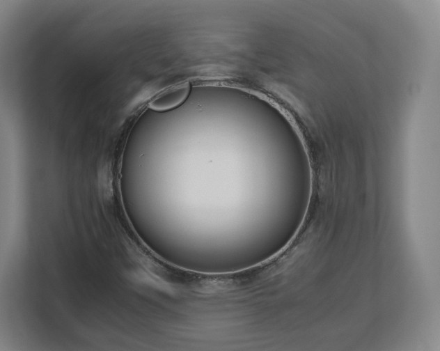 X0000112751451200908271532