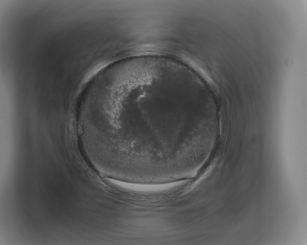 X0000112751453200908271532