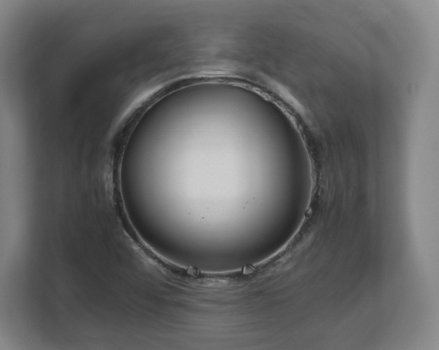 X0000112751456200908271532