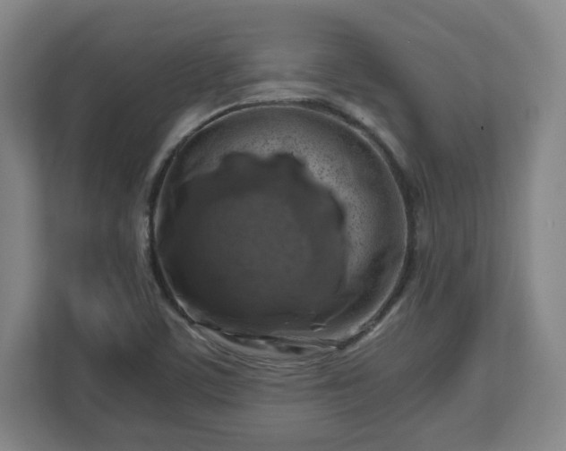 X0000112751459200908271532