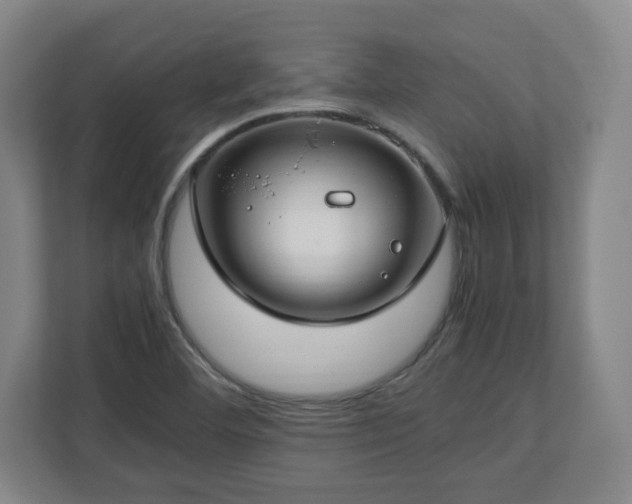 X0000112751460200908271532