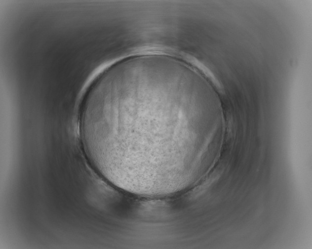 X0000112751462200908271532