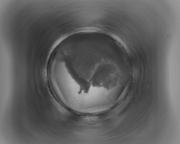 X0000112751466200908271532