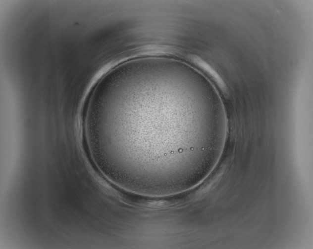 X0000112751467200908271532