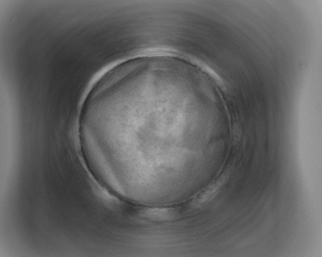 X0000112751470200908271532