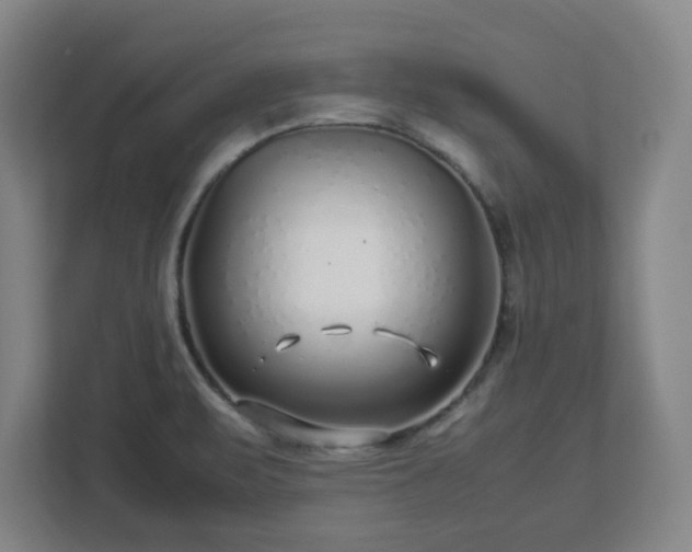 X0000112751471200908271532