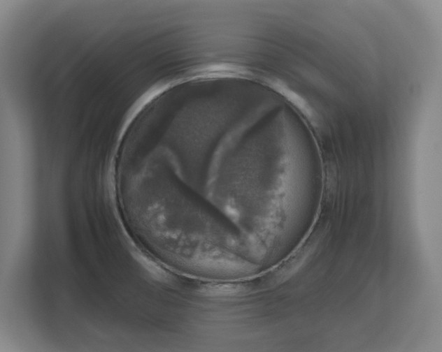 X0000112751474200908271532