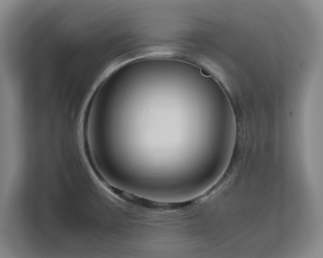 X0000112751475200908271532