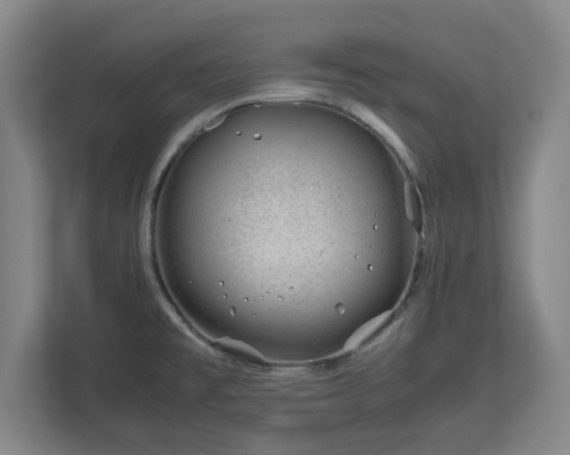 X0000112751477200908271532