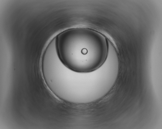 X0000112751480200908271532