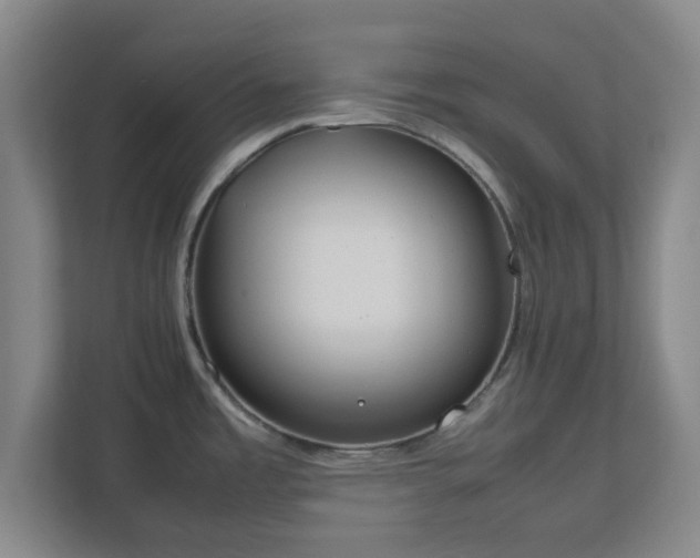 X0000112751485200908271531