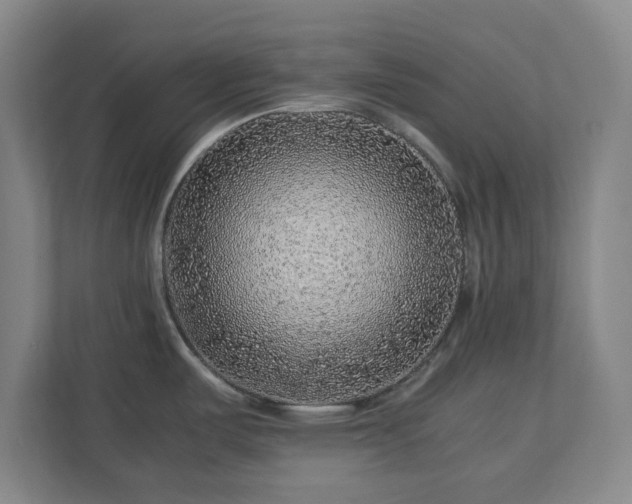 X0000112751487200908271531